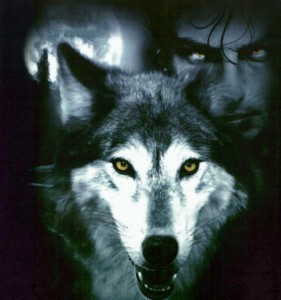 vampireandwolf7kg.jpg