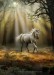Glimpse_of_a_unicorn_by_Ironshod